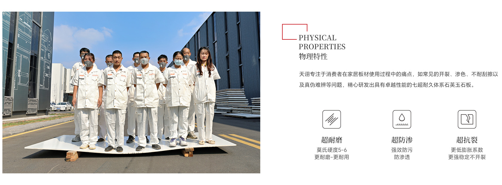 物理特性